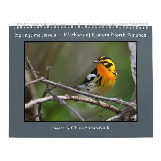 Springtime-juwelen - Warblers-kalender Kalender (Hoes)