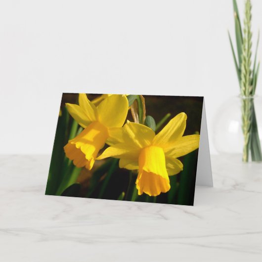 Springtime Kaart (Voorkant)