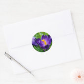 Springtime krokussen ronde sticker (Envelop)
