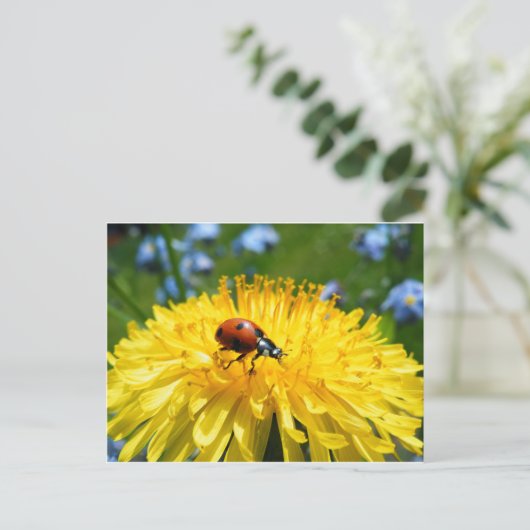 Springtime Ladybird op Dandelion Briefkaart (Staand voorkant)