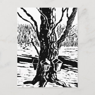 Springtime Magic Briefkaart