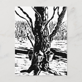 Springtime Magic Briefkaart