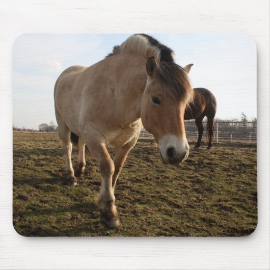 Springtime Muismat (Voorkant)