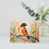 Springtime Natuur Beauty Bird Baltimore Oriole Briefkaart (Staand voorkant)