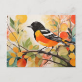 Springtime Natuur Charm Bird Baltimore Oriole Briefkaart (Voorkant)