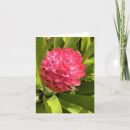 Springtime Notecard #3 (leeg binnenin) Kaart