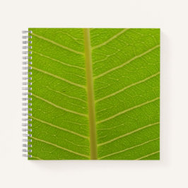 Springtime Notitieboek