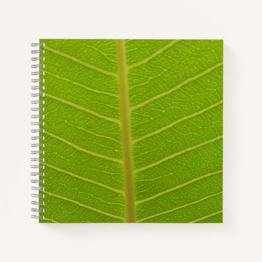 Springtime Notitieboek (Voorkant)