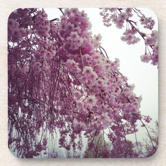 Springtime Onderzetter (Voorkant)