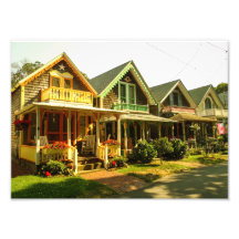 Springtime op de wijngaard van Martha - MVCMA