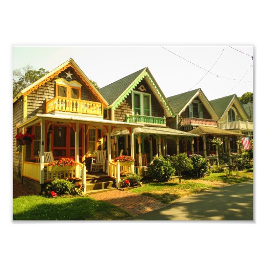 Springtime op de wijngaard van Martha - MVCMA Foto Afdruk (Voorkant)