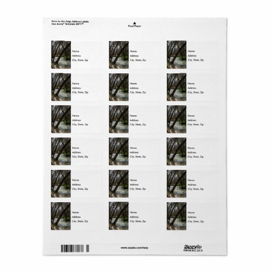 Springtime op Finley River Address Label (Full Sheet)