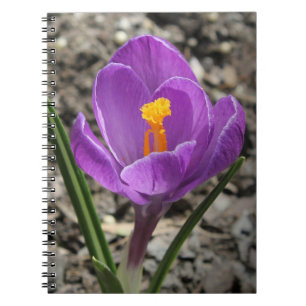 Springtime Paars en Yellow Crocus Flower foto Notitieboek