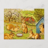 Springtime Rabbit by Louis Wain Feestdagenkaart (Voorkant)