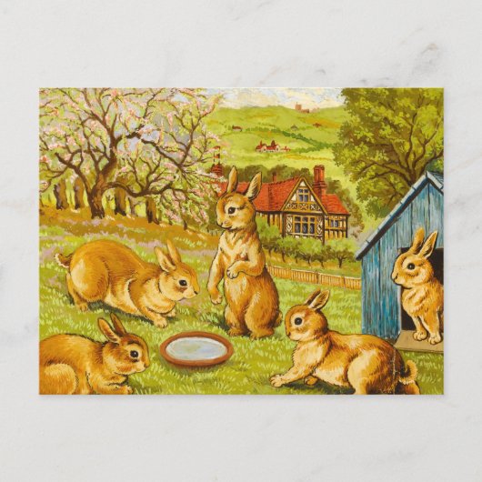 Springtime Rabbit by Louis Wain Feestdagenkaart (Voorkant)