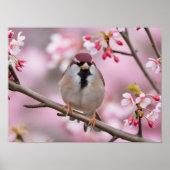 Springtime Serenity: Schattigee mus Poster (Voorkant)