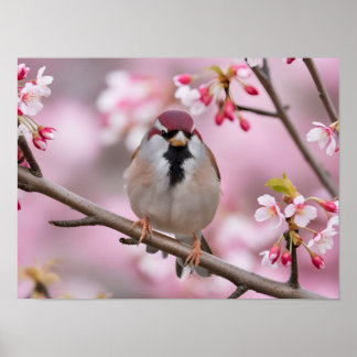 Springtime Serenity: Schattigee mus Poster