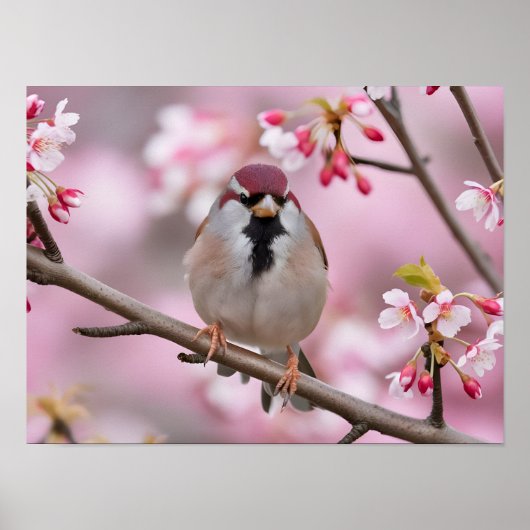 Springtime Serenity: Schattigee mus Poster (Voorkant)