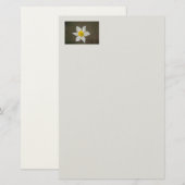 Springtime Stationery Briefpapier (Voorkant / Achterkant)