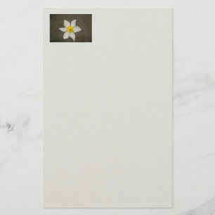 Springtime Stationery Briefpapier