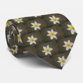 Springtime-Stropdas Stropdas (Opgerold)