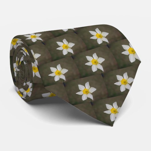 Springtime-Stropdas Stropdas (Opgerold)