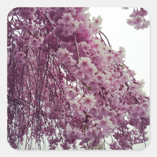 Springtime Vierkante Sticker (Voorkant)