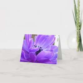 Springtime Violet Anemone Note Kaart