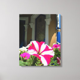 Springtime Vloerbox - Martha's wijngaard Canvas Afdruk