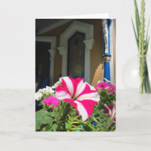 Springtime Vloerbox - Martha's wijngaard