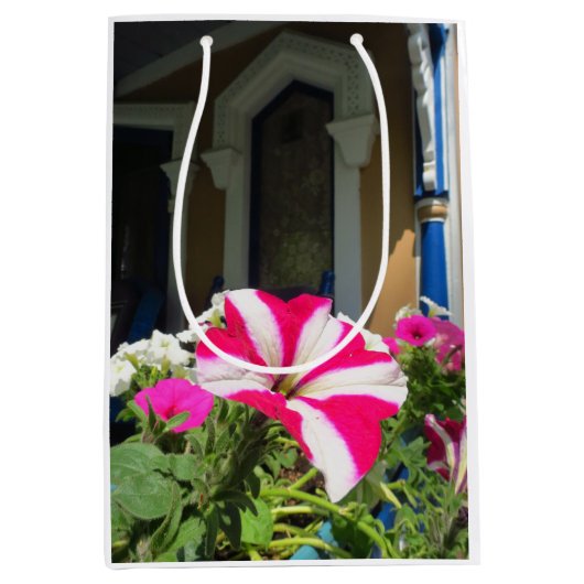 Springtime Vloerbox - Martha's wijngaard Medium Cadeauzakje (Voorkant)