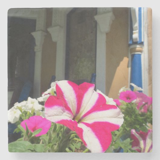 Springtime Vloerbox - Martha's wijngaard Stenen Onderzetter (Voorkant)