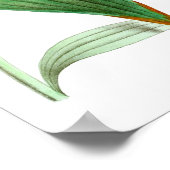  springvogel Afdrukken nr.1 Veerwanddecor Poster (Hoek)