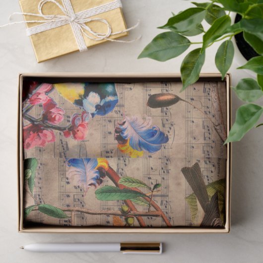 SPRINGVOGELS, VEREN, VRUCHTEN, VLOEISTOF, Muziekno Tissuepapier (Geschenk)