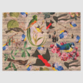 SPRINGVOGELS, VEREN, VRUCHTEN, VLOEISTOF, Muziekno Tissuepapier (Voorkant)