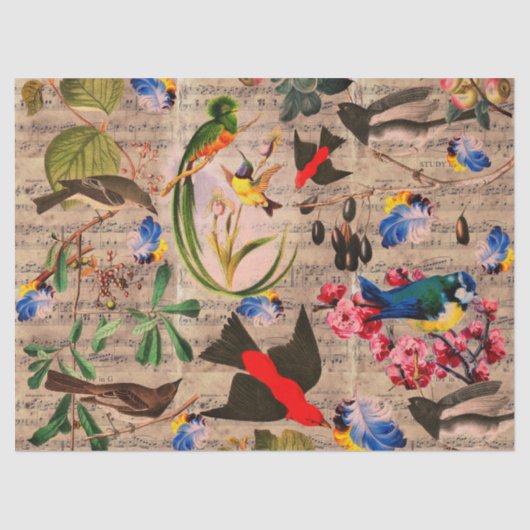 SPRINGVOGELS, VEREN, VRUCHTEN, VLOEISTOF, Muziekno Tissuepapier (Voorkant)