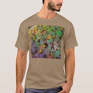 Springx27s Colorful Clover T-shirt