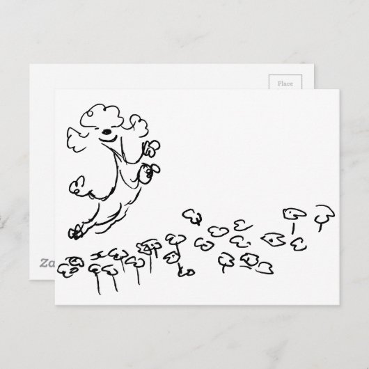 Springy Poodle Briefkaart (Voorkant / Achterkant)
