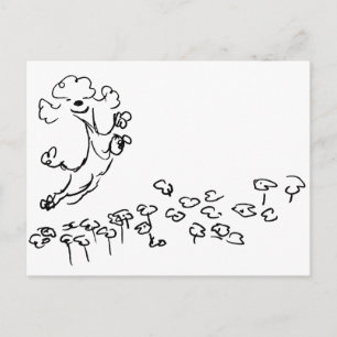 Springy Poodle Briefkaart