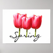 Springy Tulips Poster (Voorkant)