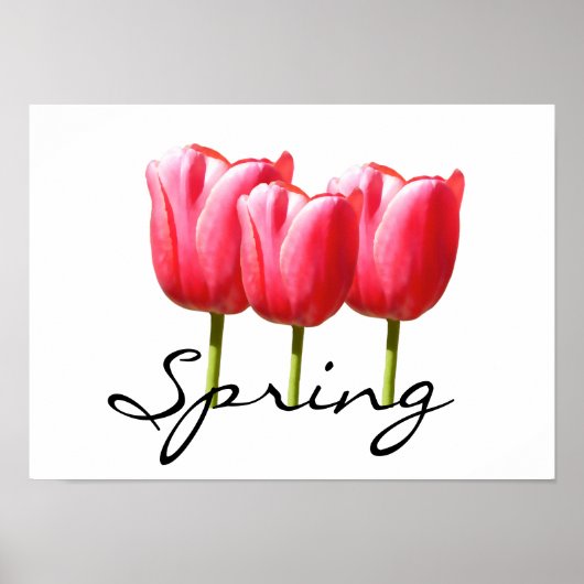Springy Tulips Poster (Voorkant)