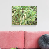 Sprinkhaan Camouflage Canvasprint Canvas Afdruk (Insitu (Woonkamer))