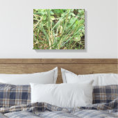 Sprinkhaan Camouflage Canvasprint Canvas Afdruk (Insitu (Slaapkamer))