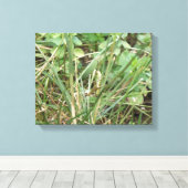 Sprinkhaan Camouflage Canvasprint Canvas Afdruk (Insitu (Houten vloer))