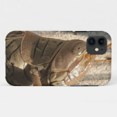 Sprinkhaan Case-Mate iPhone Case (Achterkant (horizontaal))