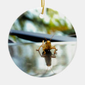 sprinkhaan keramisch ornament (Voorkant)