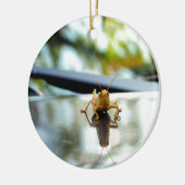 sprinkhaan keramisch ornament (Links)