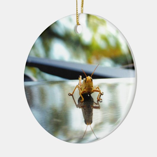 sprinkhaan keramisch ornament (Links)