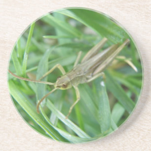 Sprinkhaan Onderzetters