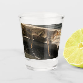 Sprinkhaan Shot Glas